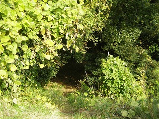 e0123587_20325350.jpg