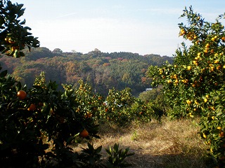e0123587_20354457.jpg