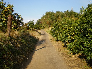 e0123587_20355334.jpg