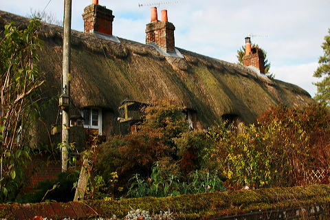 f0093592_2326422.jpg