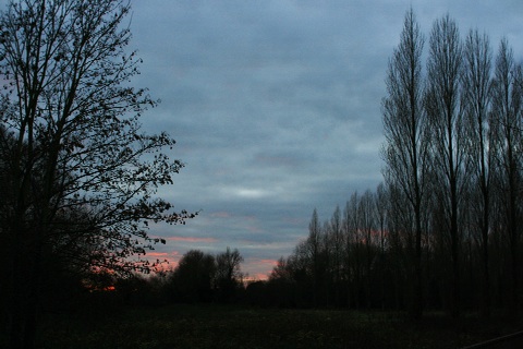 f0093592_23415925.jpg