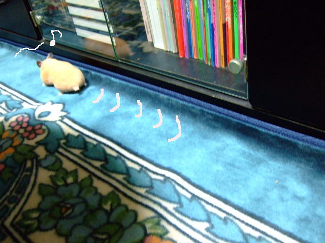 c0150193_1458199.jpg