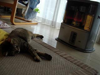 f0081594_113779.jpg
