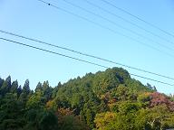 c0118495_1995546.jpg