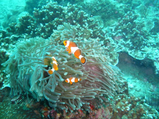 d0098397_21262760.jpg