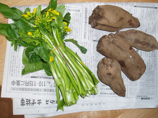 a0024400_1724049.jpg