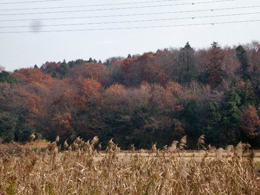 e0025300_21393070.jpg