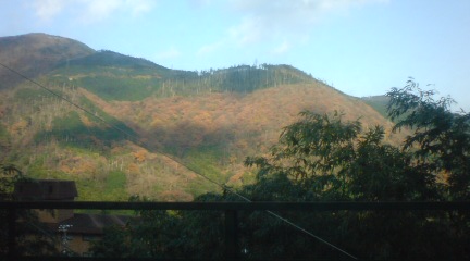 b0008103_0341057.jpg
