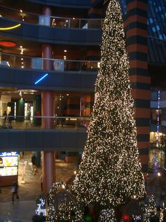 b0061107_17503292.jpg