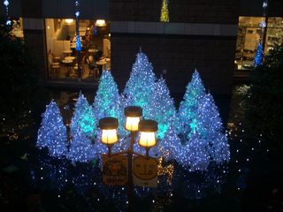 b0061107_1751471.jpg