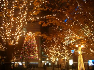 b0061107_175357100.jpg