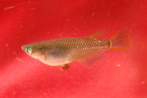 f0137616_21532885.jpg