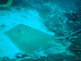 f0142717_23302839.jpg