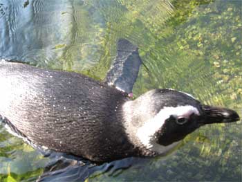 f0038819_22393264.jpg