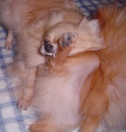 f0012924_19273985.jpg