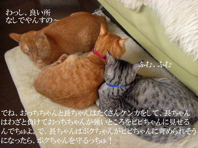 d0081025_20331560.jpg