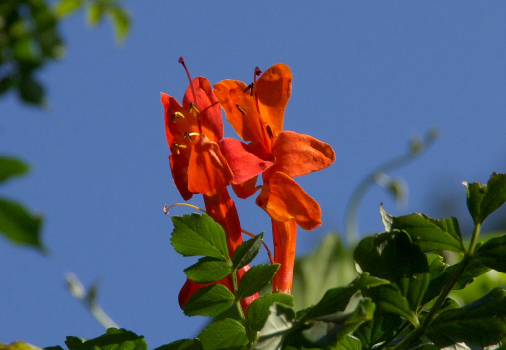 d0053930_1835058.jpg
