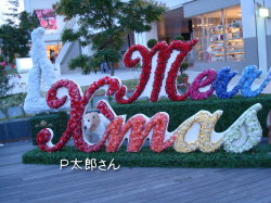 f0054731_23554218.jpg