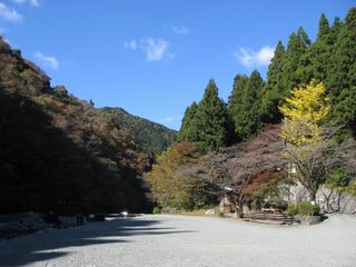 f0065341_19153541.jpg