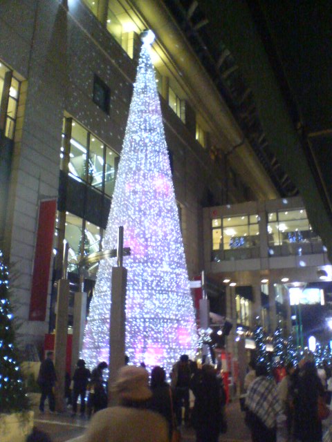 c0029442_0472887.jpg