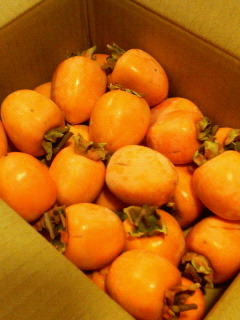 f0088647_11473730.jpg