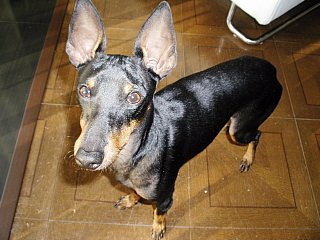 c0123149_12412339.jpg