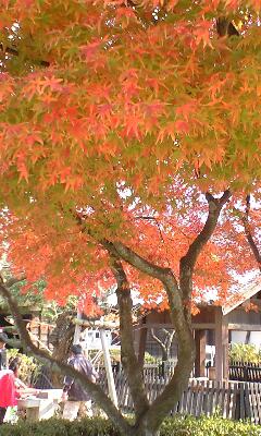 b0014350_21304951.jpg