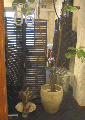 e0060452_20462870.jpg