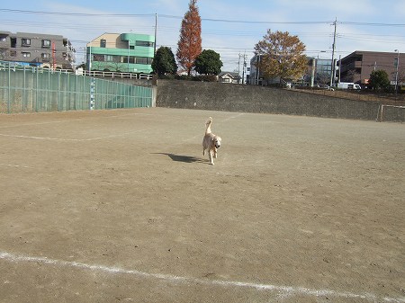 c0097558_20525379.jpg