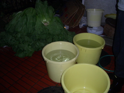 d0105063_223149.jpg