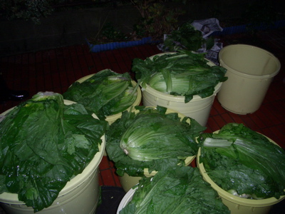 d0105063_2264998.jpg