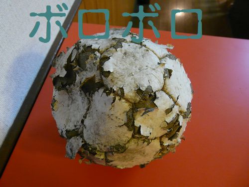 a0100564_215527.jpg