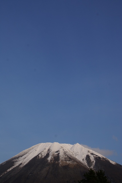 a0091666_2015447.jpg