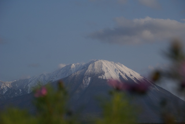 a0091666_2031611.jpg