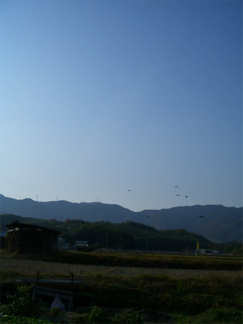 f0089079_025768.jpg