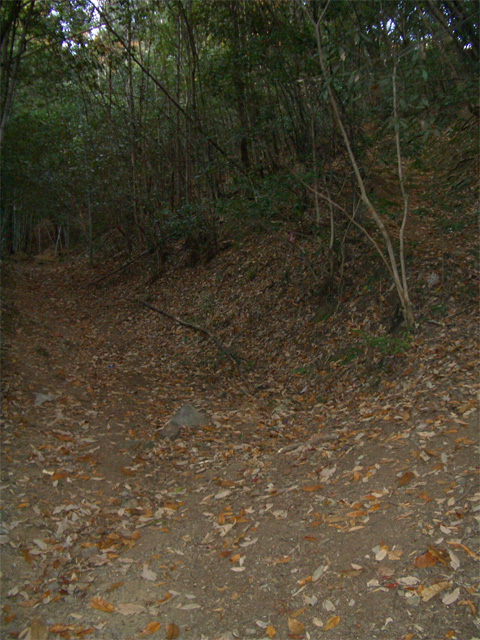 f0089079_0324716.jpg