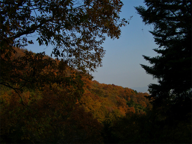 f0089079_0502159.jpg