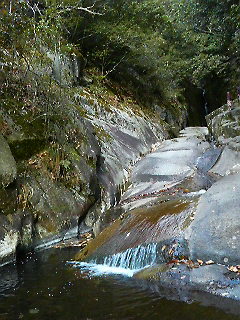 f0016981_14244281.jpg