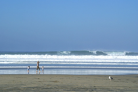c0121289_10313581.jpg