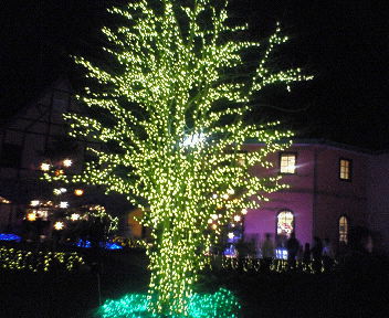 b0039090_20571251.jpg