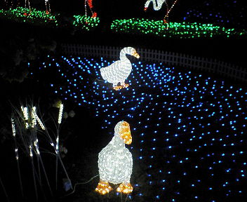 b0039090_2057732.jpg