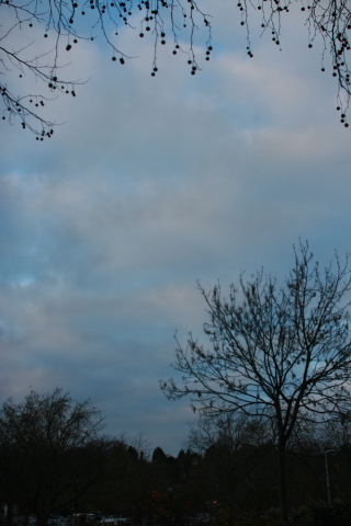 f0093592_23512953.jpg