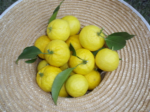 f0130894_21411768.jpg