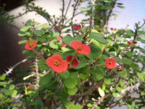 f0130894_2148078.jpg