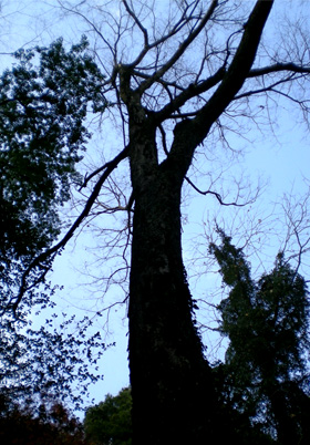 d0129295_15424685.jpg