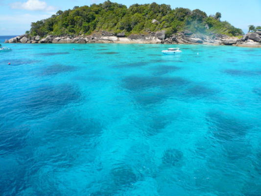 d0098397_9292926.jpg