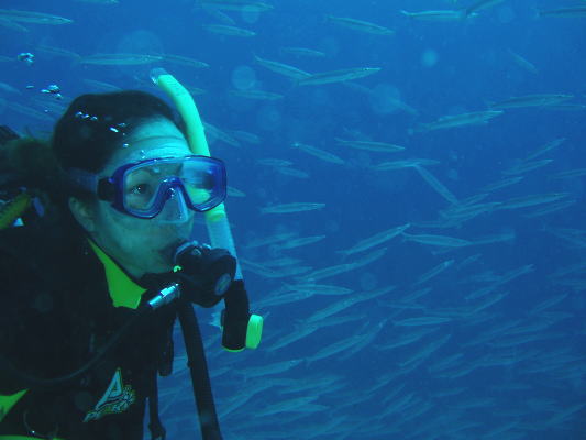 d0098397_9505025.jpg