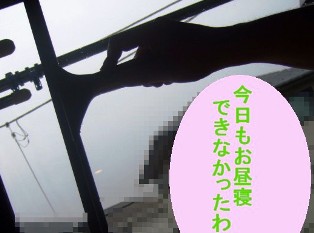 b0087400_0162119.jpg