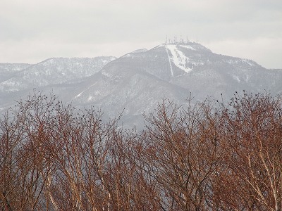 f0157901_20454845.jpg