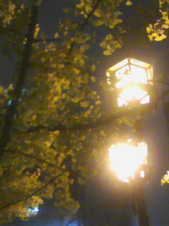 c0098204_1393782.jpg